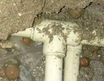 沙坡头测漏水多少钱