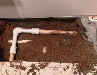 沙坡头测漏水哪家好