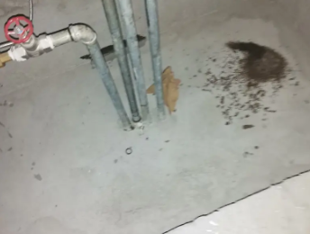 沙坡头卫生间测漏水价格明细