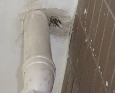 沙坡头漏水检测哪家好